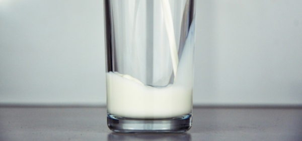 Ингредиенты из молочного сырья – интенсивно растущий мировой рынок